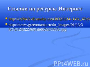 Ссылки на ресурсы Интернет http://cs9843.vkontakte.ru/u38321134/-14/x_47c04d66.j