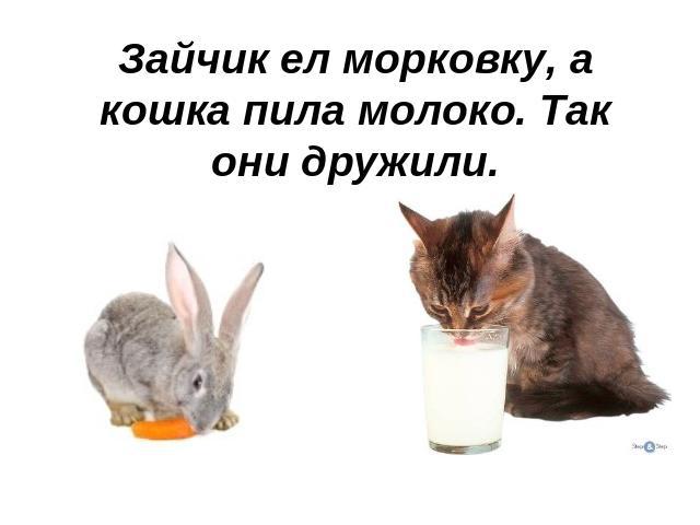 Зайчик ел морковку, а кошка пила молоко. Так они дружили.