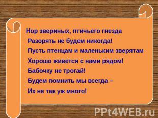 Нор звериных, птичьего гнезда Разорять не будем никогда! Пусть птенцам и маленьк