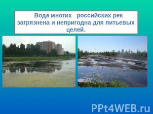Вода многих российских рек загрязнена и непригодна для питьевых целей.
