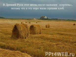 В Древней Руси этот месяц носил название «серпень», потому что в эту пору жали с