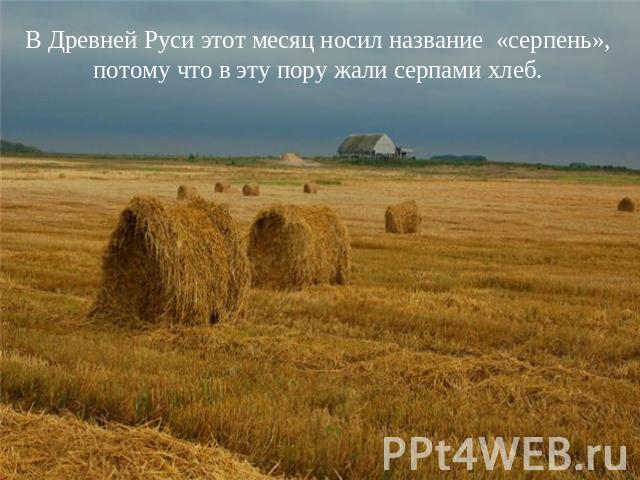 В Древней Руси этот месяц носил название «серпень», потому что в эту пору жали серпами хлеб.