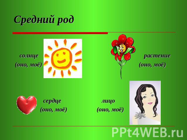Средний род солнце (оно, моё) сердце (оно, моё) лицо(оно, моё) растение (оно, моё)