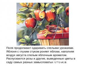 Поля продолжают одаривать спелыми урожаями. Яблоня с глухим стуком роняет яблоки