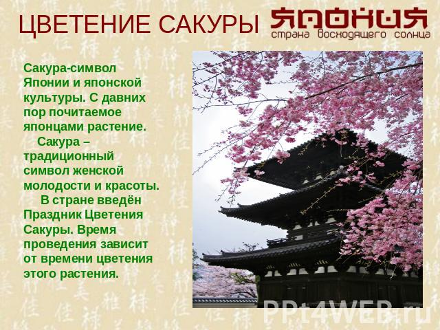 ЦВЕТЕНИЕ САКУРЫ Сакура-символ Японии и японской культуры. С давних пор почитаемое японцами растение. Сакура – традиционный символ женской молодости и красоты. В стране введён Праздник Цветения Сакуры. Время проведения зависит от времени цветения это…