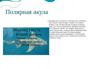 Полярная акула Полярная акула относится к категории мало изученных рыб. Знания о