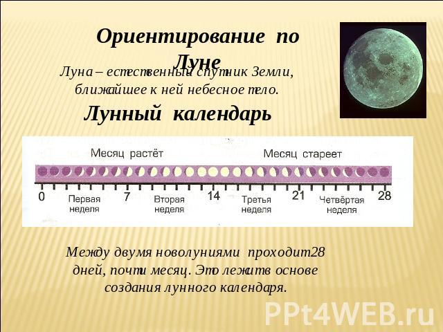 Ориентирование по Луне Луна – естественный спутник Земли, ближайшее к ней небесное тело. Лунный календарь Между двумя новолуниями проходит 28 дней, почти месяц. Это лежит в основе создания лунного календаря.