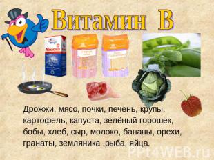 Витамин В Дрожжи, мясо, почки, печень, крупы,картофель, капуста, зелёный горошек