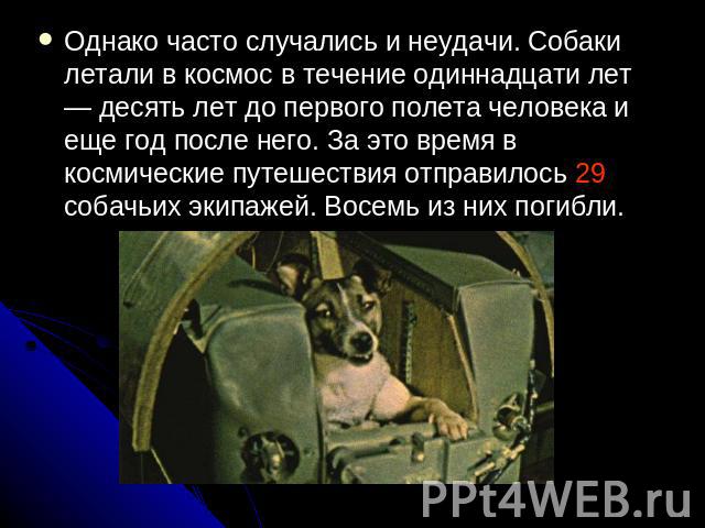 Однако часто случались и неудачи. Собаки летали в космос в течение одиннадцати лет — десять лет до первого полета человека и еще год после него. За это время в космические путешествия отправилось 29 собачьих экипажей. Восемь из них погибли.