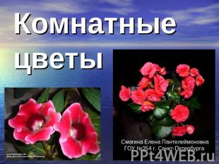 Комнатные цветы Смагина Елена ПантелеймоновнаГОУ №354 г. Санкт-Петербурга