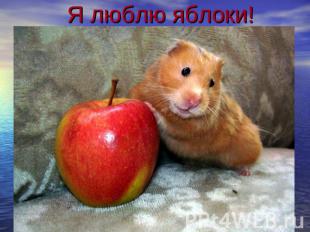 Я люблю яблоки!