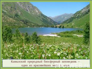 Кавказский природный биосферный заповедник – одно из красивейших мест в мире.