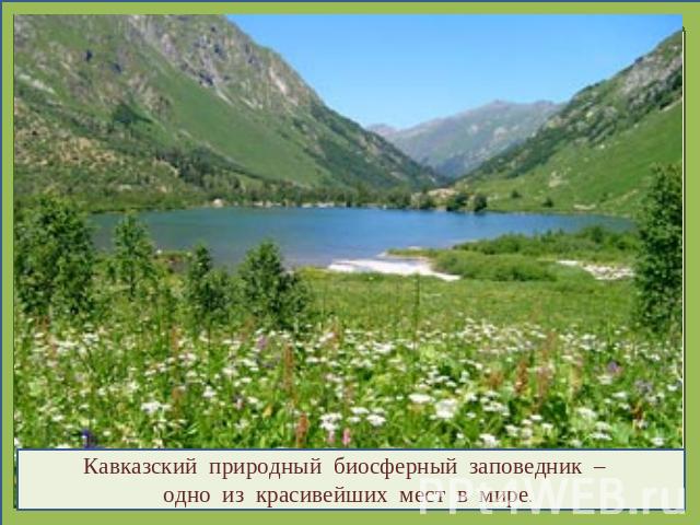 Кавказский природный биосферный заповедник – одно из красивейших мест в мире.
