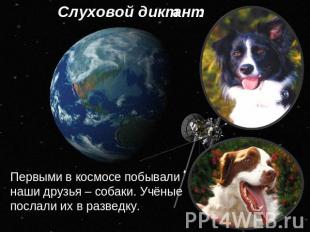 Слуховой диктант: Первыми в космосе побывали наши друзья – собаки. Учёные послал