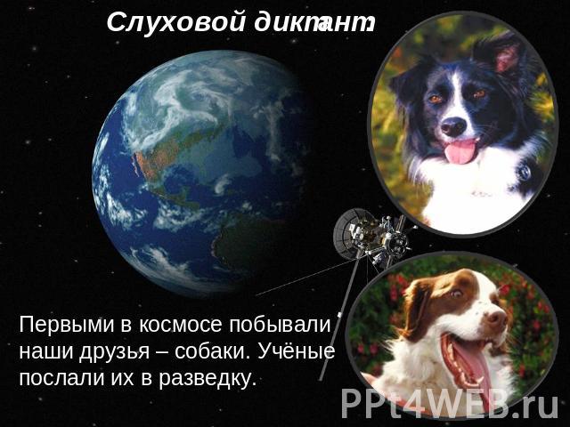 Слуховой диктант: Первыми в космосе побывали наши друзья – собаки. Учёные послали их в разведку.