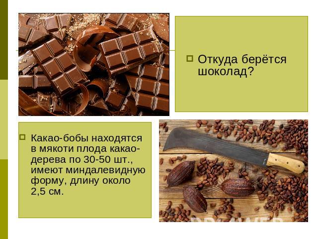 Откуда берётся шоколад? Какао-бобы находятся в мякоти плода какао-дерева по 30-50 шт., имеют миндалевидную форму, длину около 2,5 см.
