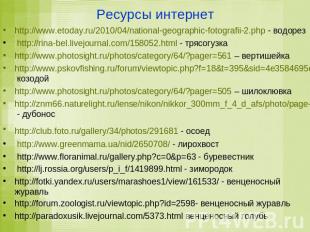 Ресурсы интернет http://www.etoday.ru/2010/04/national-geographic-fotografii-2.p