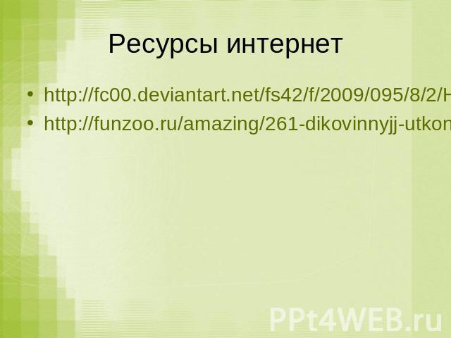Ресурсы интернетhttp://fc00.deviantart.net/fs42/f/2009/095/8/2/HOLY_MUDKIPS_by_AngelicNekoMegumi.jpghttp://funzoo.ru/amazing/261-dikovinnyjj-utkonos.html