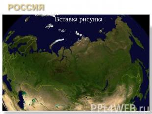Площадь России 17,1 млн км2Население: 143,2 млн чел.
