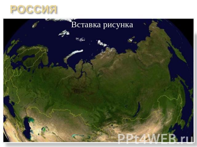Площадь России 17,1 млн км2Население: 143,2 млн чел.