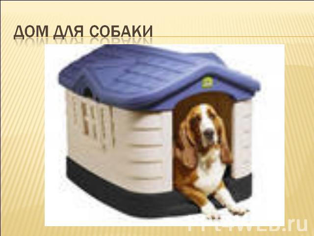 Дом для собаки