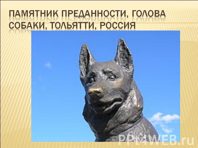 Памятник Преданности, голова собаки, Тольятти, Россия