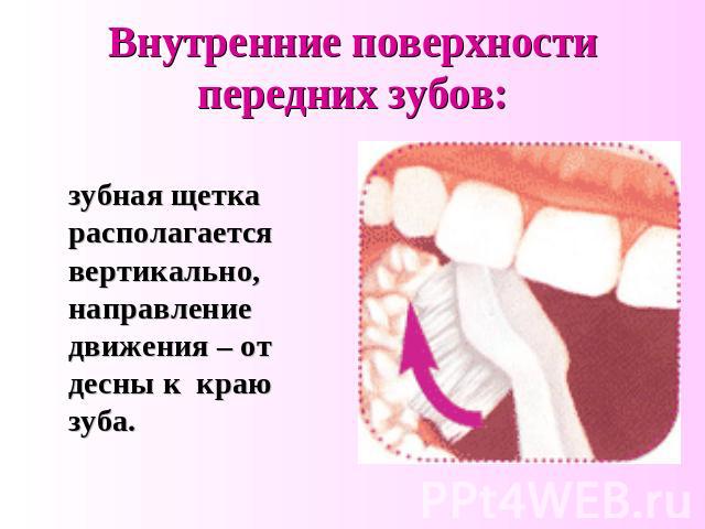 Внутренние поверхности передних зубов: зубная щетка располагается вертикально, направление движения – от десны к краю зуба.