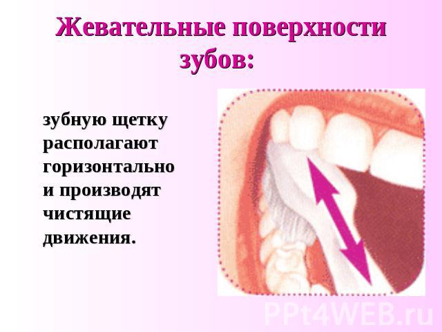 Жевательные поверхности зубов: зубную щетку располагают горизонтально и производят чистящие движения.