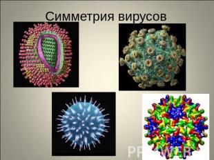 Симметрия вирусов