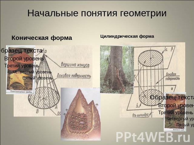 Начальные понятия геометрииКоническая форма Цилиндрическая форма