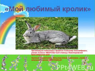 «Мой любимый кролик» Презентацию подготовил Придачин Александр Александрович, уч