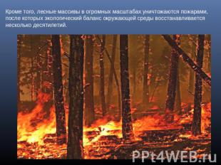 Кроме того, лесные массивы в огромных масштабах уничтожаются пожарами, после кот