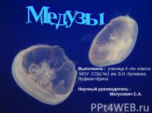 Медузы 4 класс