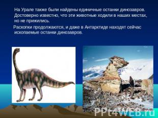 На Урале также были найдены единичные останки динозавров. Достоверно известно, ч