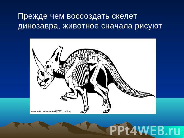 Прежде чем воссоздать скелет динозавра, животное сначала рисуют
