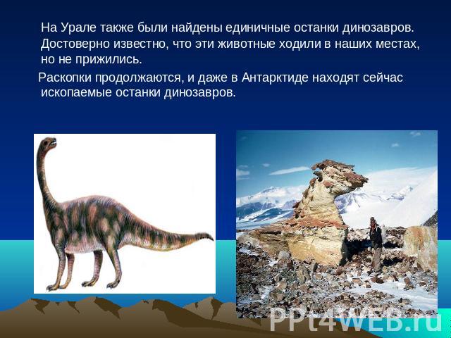На Урале также были найдены единичные останки динозавров. Достоверно известно, что эти животные ходили в наших местах, но не прижились. Раскопки продолжаются, и даже в Антарктиде находят сейчас ископаемые останки динозавров.