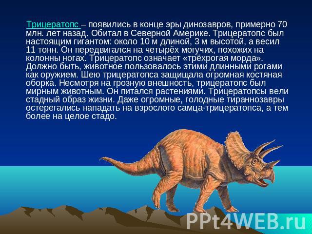 Трицератопс – появились в конце эры динозавров, примерно 70 млн. лет назад. Обитал в Северной Америке. Трицератопс был настоящим гигантом: около 10 м длиной, 3 м высотой, а весил 11 тонн. Он передвигался на четырёх могучих, похожих на колонны ногах.…
