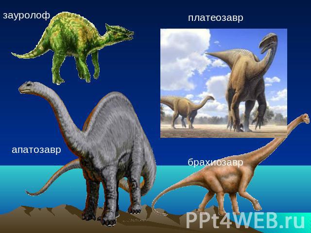 зауролоф апатозавр платеозавр брахиозавр