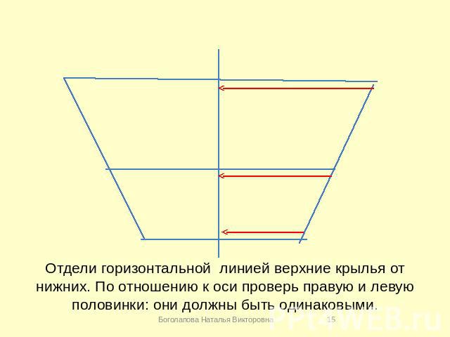 Отдели горизонтальной линией верхние крылья от нижних. По отношению к оси проверь правую и левую половинки: они должны быть одинаковыми.