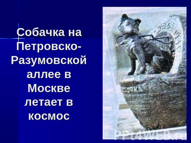 Собачка на Петровско-Разумовской аллее в Москве летает в космос